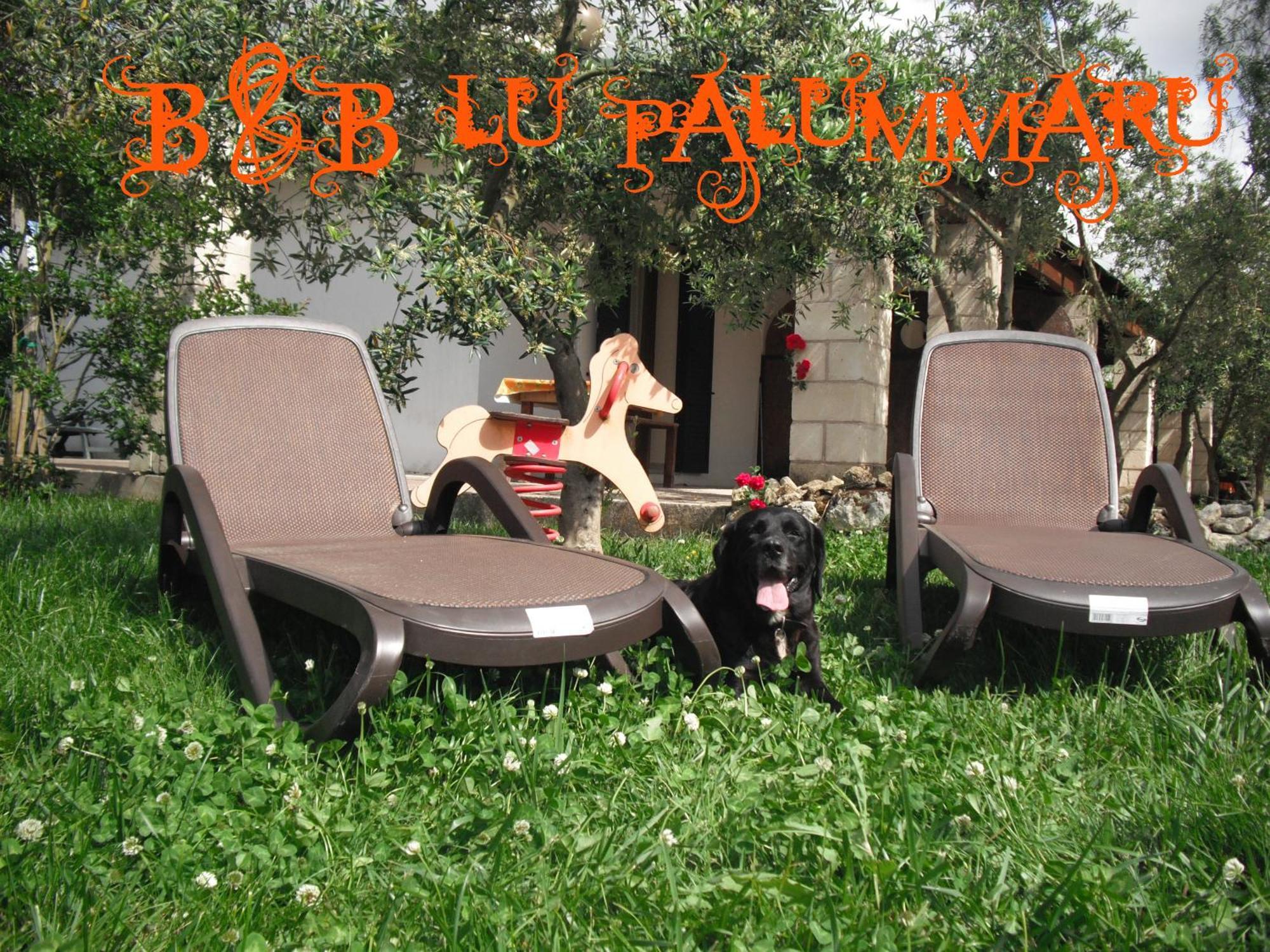 B&B Lu Palummaru Palmariggi Extérieur photo